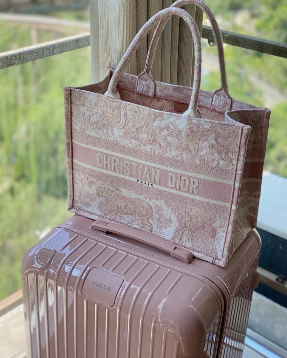 Dior bag