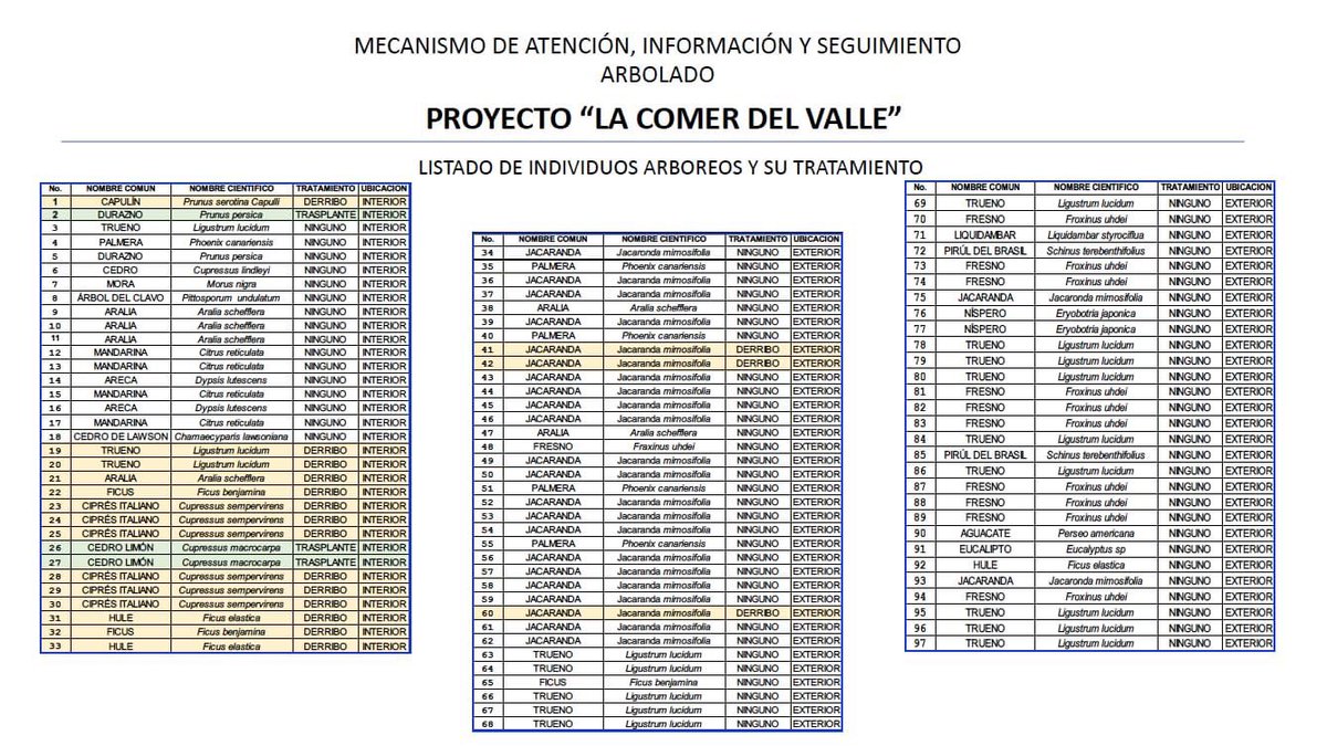 Van a derrumbar 17 árboles sanos! Para construir un supermercado que no necesitamos 😡😡😡😡
<a href="/SEDEMA_CDMX/">Secretaría del Medio Ambiente</a> explícanos por favor ¿cómo autorizaste esto? En una CD con tanta contaminación, problemas de agua y con un calor que aumenta todos los años! #LaComerEcocida <a href="/LaComerOficial/">@LaComerOficial</a>