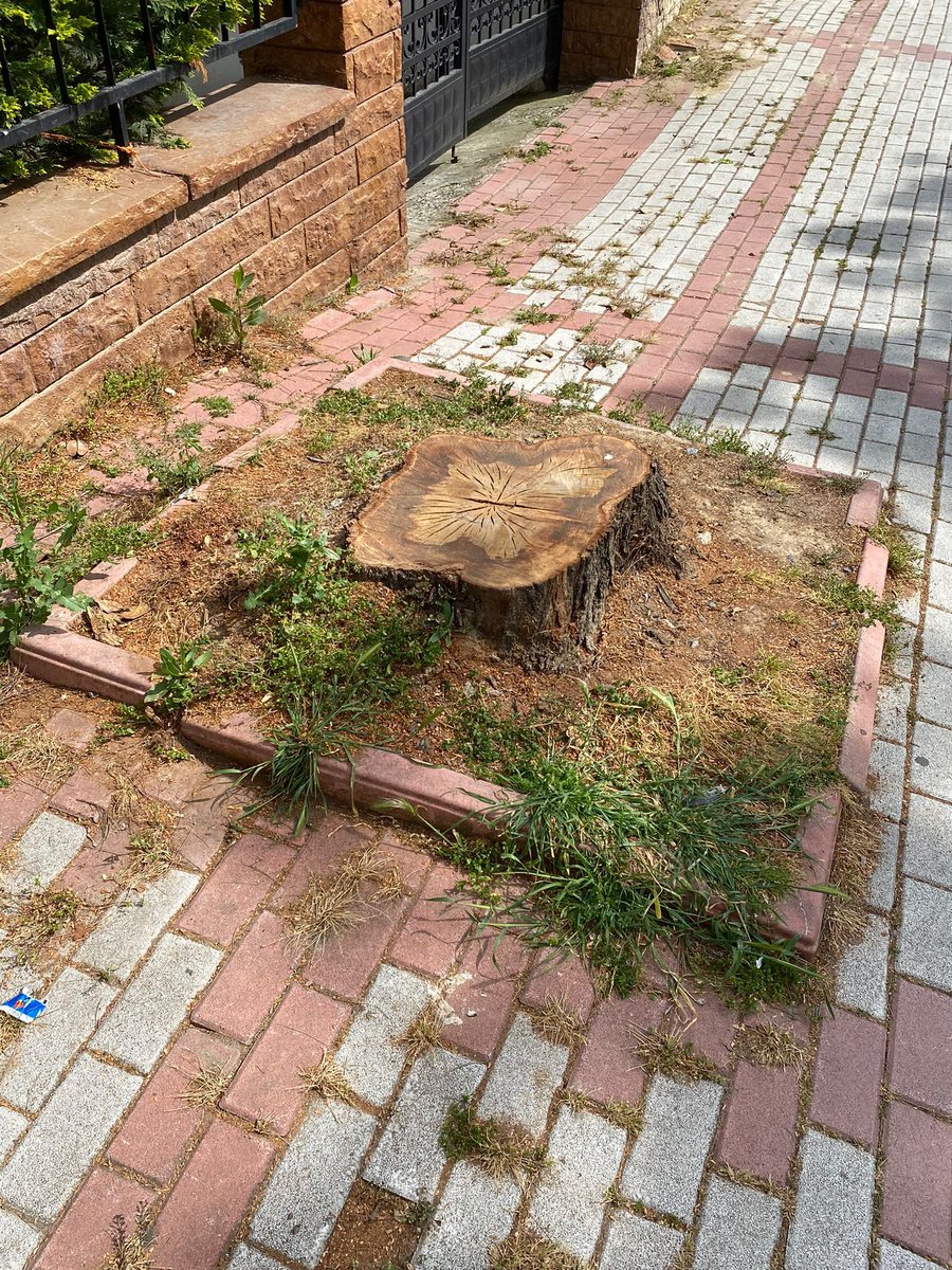 Bakır KÖY tweet media