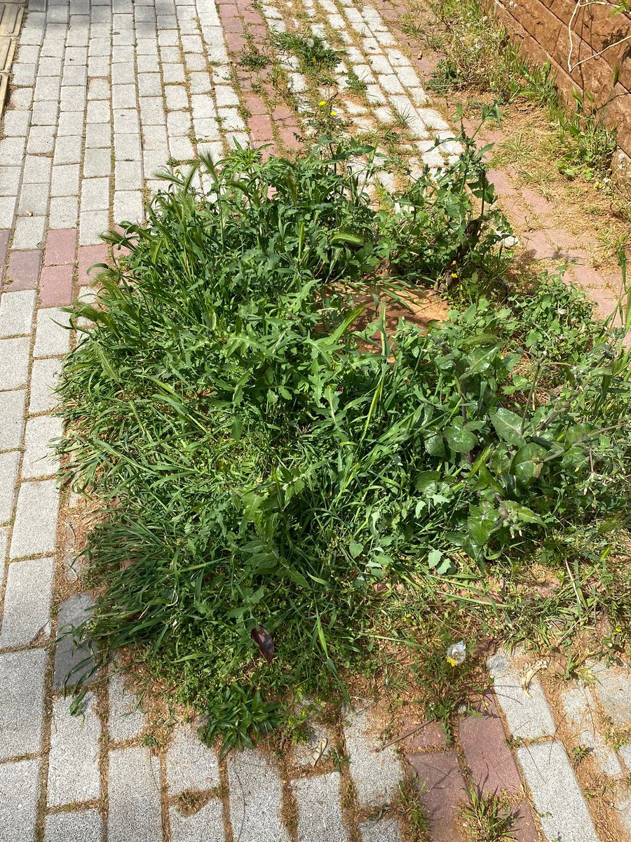 Bakır KÖY tweet media