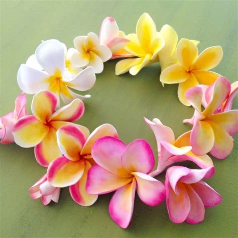 Hello May !

#MayDay is #LeiDay 
#Aloha