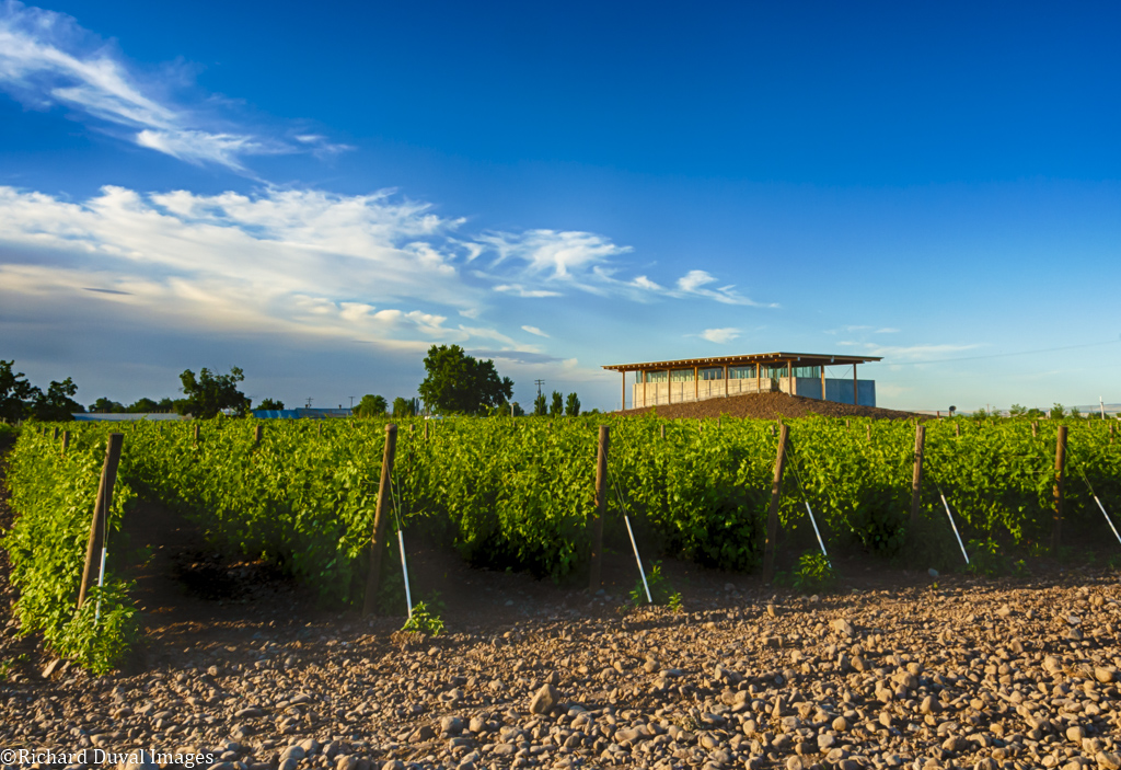 Walla Walla Valley Wine tweet media