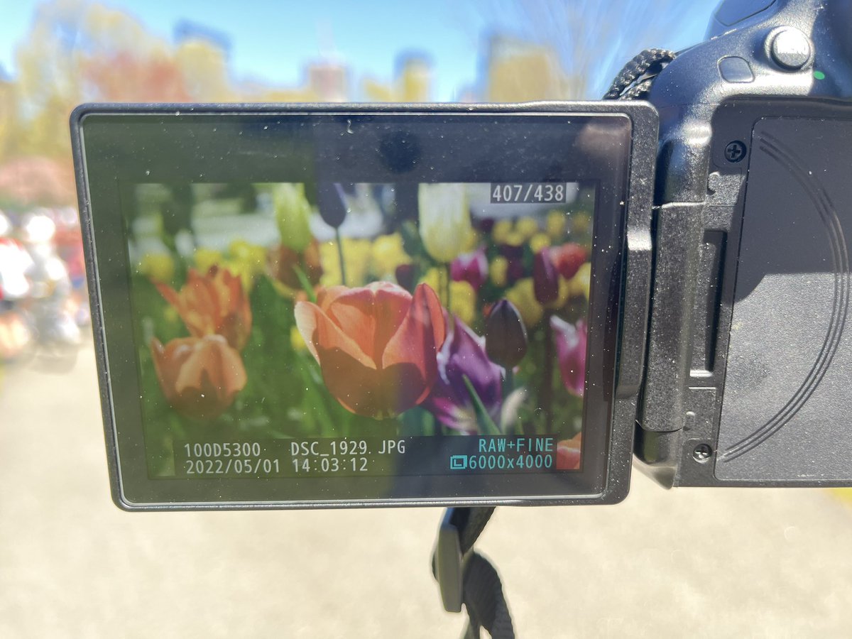 pentium_ii's tweet photo. Spring in Boston https://t.co/uJKK3DE7He