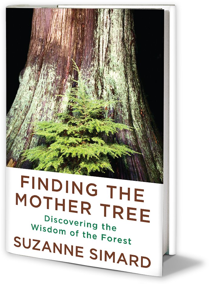 WTCF2022's tweet photo. Just great:

https://t.co/hXx9kPaCfs

Must read. Please...

We like to ask the author of this fascinating book, @DrSuzanneSimard to become Ambassador of our inspiring World Tree Conservation Family. https://t.co/oHNMSbIhLr