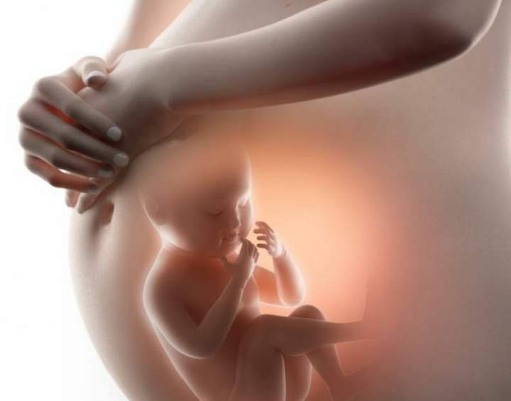 Join our discussion with experts in the field of literacy on the Topic" Literacy from the Womb to the Classroom!  
Date:  May 2, 2022
Time: 10:00 AM Eastern Time (US and Canada)
ZOOM LINK
us02web.zoom.us/j/86153685010?…
Meeting ID: 861 5368 5010          Passcode: LITERACY
<a href="/vshinas/">Valerie Shinas</a>