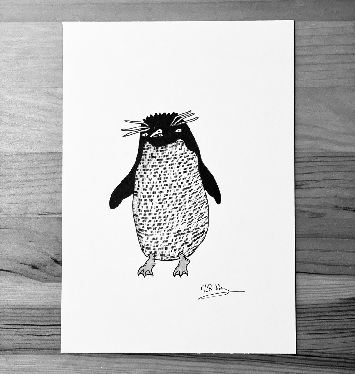 Just a little penguin #illustration #art #drawing #doodle #penguin #ArtistOnTwitter
