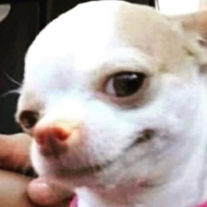 @Prettygxrlri1 All😪 Tf we doing it all👀 https://t.co/VoqRuQXhai<a class="tags" target="_blank" title="On Twitter" href="/?out=eyJ0eXAiOiJKV1QiLCJhbGciOiJIUzUxMiJ9.eyJpYXQiOjE3MjM0ODU1NzcsImlzcyI6InR3cG9ybnN0YXJzLmNvbSIsIm5iZiI6MTcyMzQ4NTU3NywiZXhwIjoxNzU1MDIxNTc3LCJyZWRpcmVjdF91cmwiOiJodHRwczovL3R3aXR0ZXIuY29tL1ByZXR0eWd4cmxyaTEifQ.o5xvRefFKAWYysnkxBM0XoLs1hxyUM4G1ZkBs7jQu5qNLDwH7Ei4f9_7x_cxb6voix0hZYxzkiEaTwc_5JN3sA">@Prettygxrlri1</a><a href="/tag/nsfwtwitter"class="tags"><span>#nsfwtwitter</span></a><a href="/tag/nsfwtwt"class="tags"><span>#nsfwtwt</span></a>