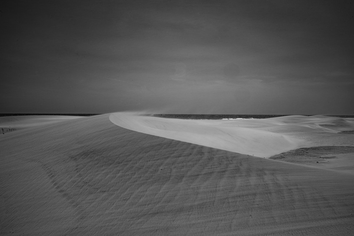 KootenayRoseH's tweet image. Dunes and Patterns of Sand in Black and White is now posted on Patreon. Link in bio.

#dunes #sand #sandpatterns #sandphotography #dune #blackandwhite #blackandwhitephotography #bnw