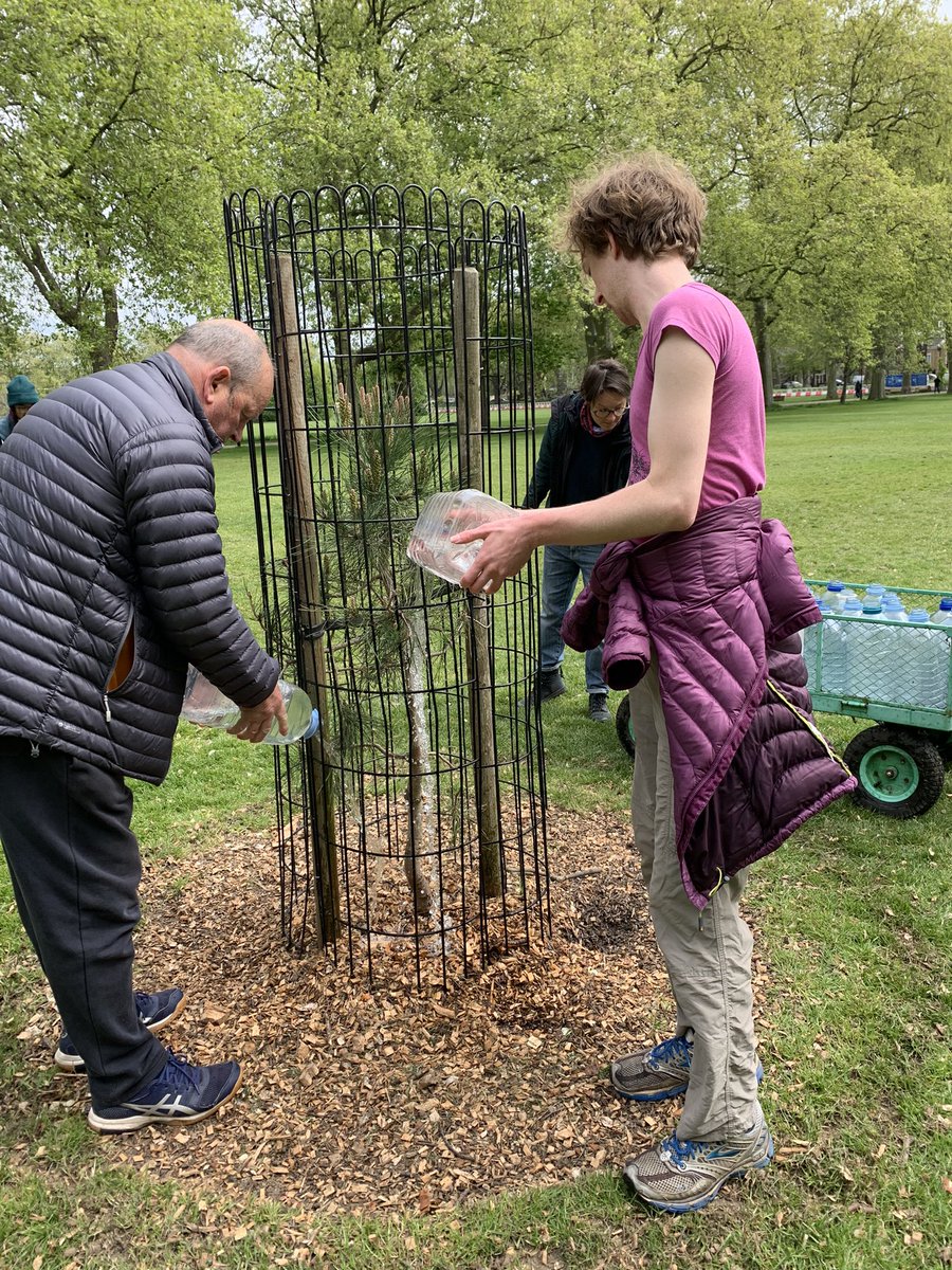 TM_Hackney's tweet photo. Watering session in North &amp; South Millfields helping to establish all new trees planted over the last two winters with  @MillfieldsUG volunteers https://t.co/r393AGo6k0