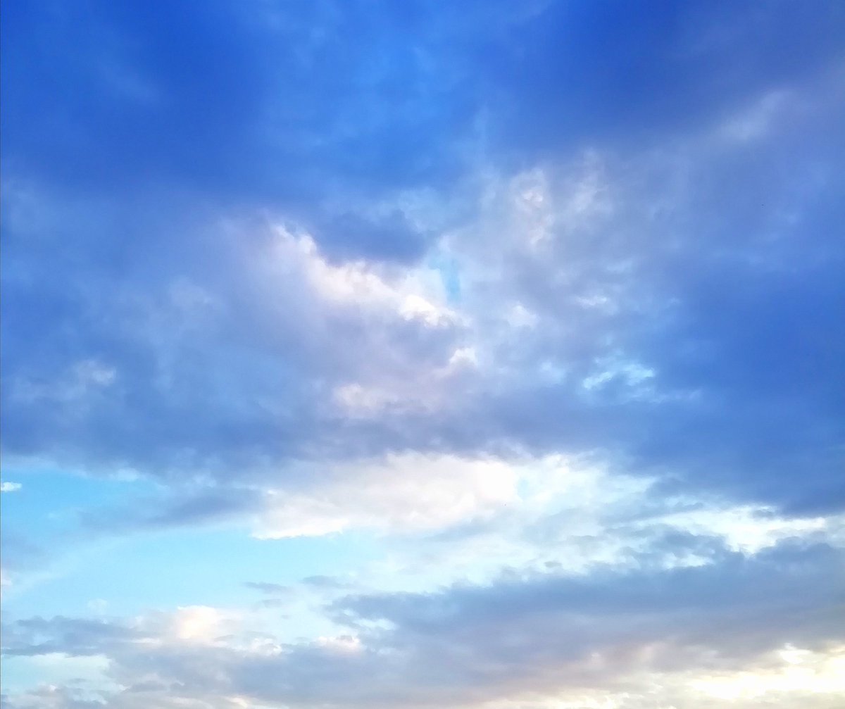 colourself's tweet photo. Nuevas Aventuras_Ilusiones_Desafíos_Esperanzas. Mamá Pato. Dia 1. #Proyectodevida #Keeponsmiling #HereandNow #SearchingforHappiness https://t.co/hpvdDKPDCv