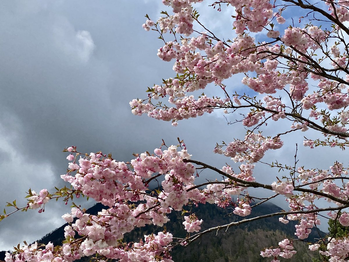 Bei der leuchtenden Seefarbe ist es gar nicht so schlimm, wenn die Wolken grau und etwas tief hängen. #österreich #tirol #achensee
