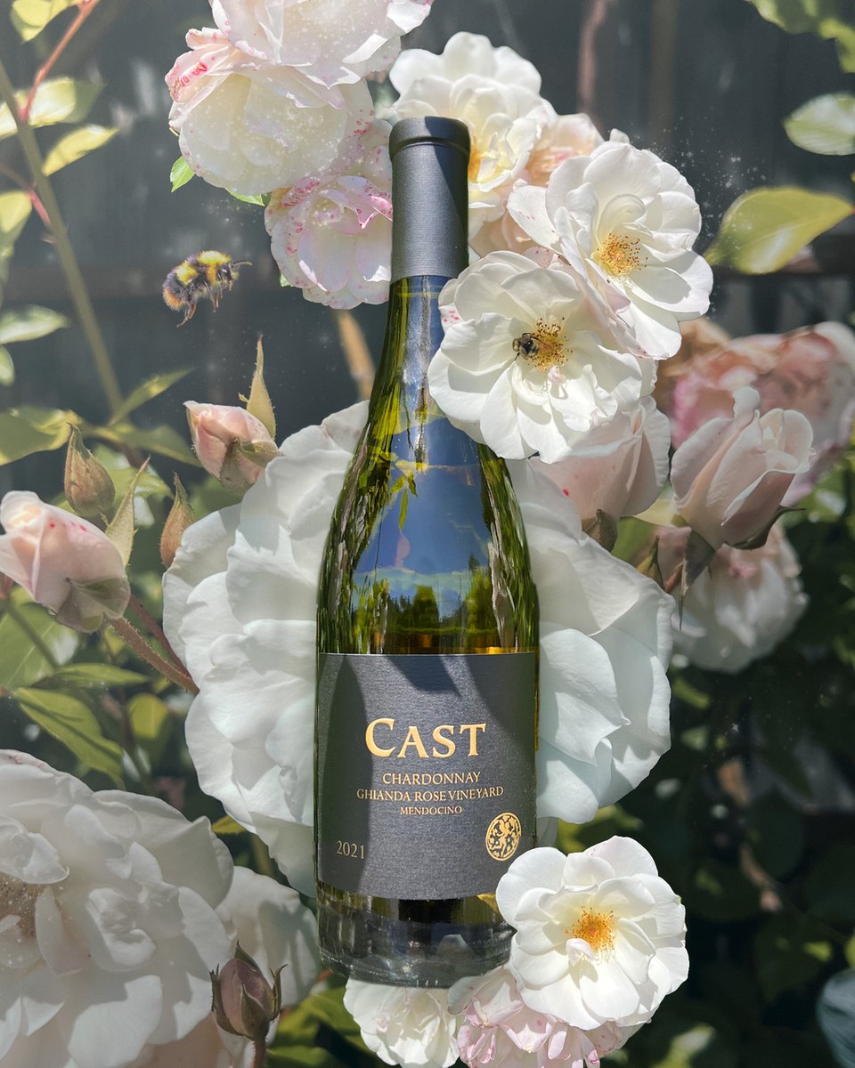 CAST's Wine of the Month for May is our Chardonnay, Ghianda Rose Vineyard, 2021. Enjoy this biodynamically farmed  Chardonnay for your Mother's day brunch and all summer long.

Tasting Notes:
Aromas of almond blossom, lightly roasted hazelnuts, gardenia, white peach and a touch o