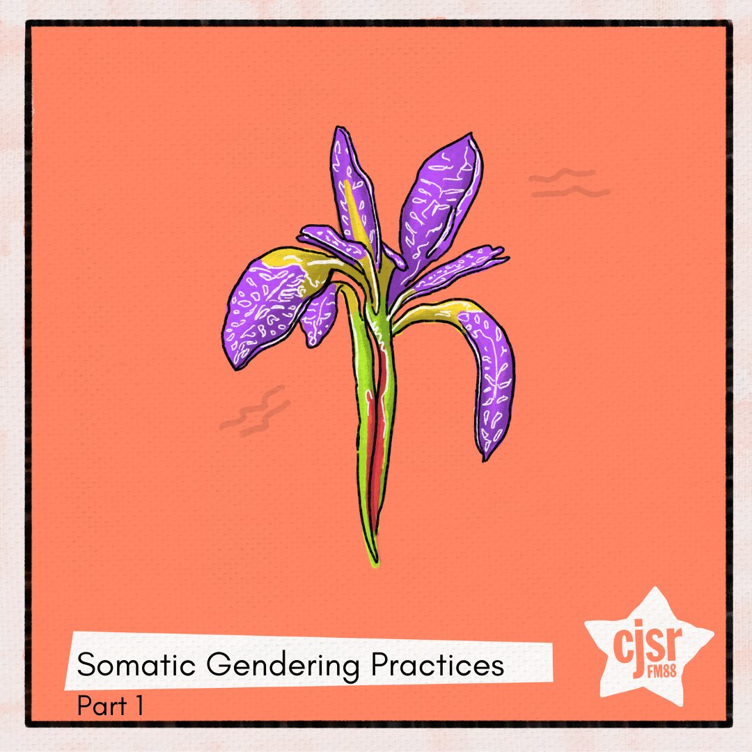 gaywire's tweet photo. This week, Terrence Adams talks with Ro Rose (@somaticgendering) and Kota Rook (@soulskin.somatics) about somatic gendering practices. Listen to our show to learn more about it! 
Be sure to catch part 2 next week! https://t.co/zV70hZtFuC