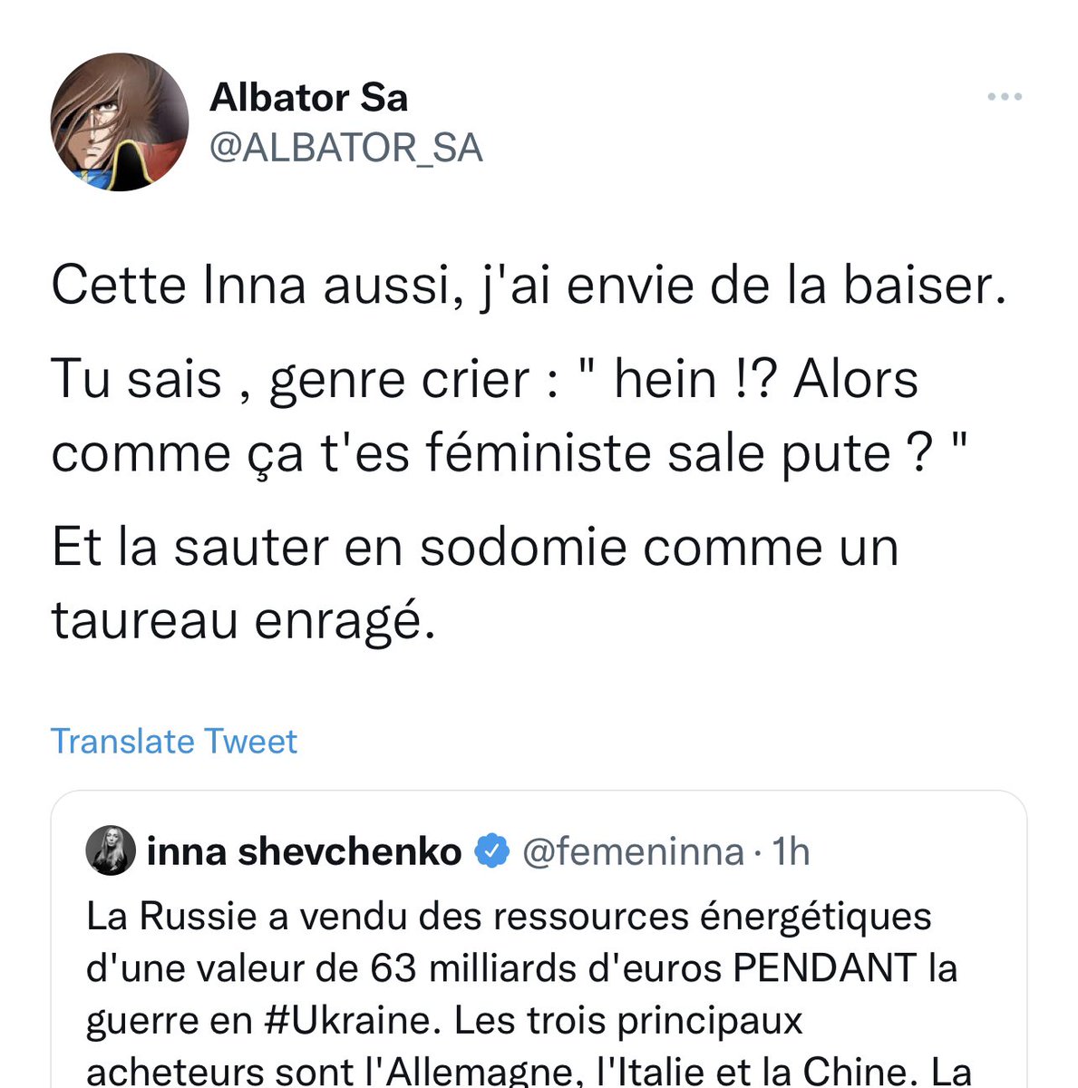 inna shevchenko tweet media