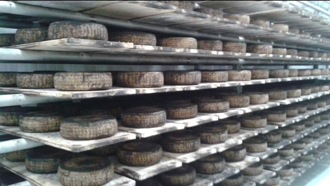 🧀🧀🧀WE'RE HIRING!!!🧀🧀🧀
We offer the position of a cheese making assistant. Good physical condition in order to fulfill the physical aspect of making and aging cheese is important. If you are interested please email info@stonetowncheese.com for more information. #hiring