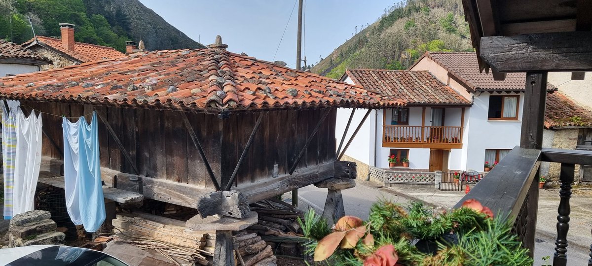 Asier81014373's tweet photo. Resumen del finde, senderismo, aire puro, buena comida y desconexión ... maravilla!!
#Asturias @TurismoAsturias #Espinaredo https://t.co/jwp4Tpflti