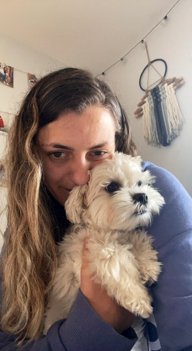 april_achey's tweet photo. Spending this rainy Sunday doing lots of homework before the semester ends. Also taking breaks to spend some relaxing time with my doggies ❤️🐶#sundayvibes #sunday #homework #gradszn #relax #TakeABreak #doggy #dogs #dogsoftwitter #SPM230 https://t.co/p1tEGTybRS