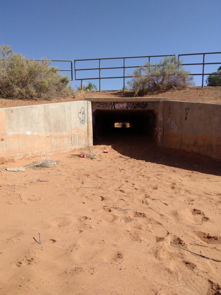 GarryCurley's tweet image. Good  Ho We Looks  good  Lilk Girls  Sexy  Nasty Girls Danes Hot  Girls   We Weekend  Girlfriend  😜🤪😎😋