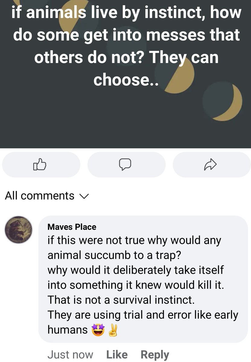 MavesPlace's tweet photo. My logic surprises me sometimes. But then my bunny humps me so I know this very true.. #consciousness #choice #animals https://t.co/8ygxbcj1AA