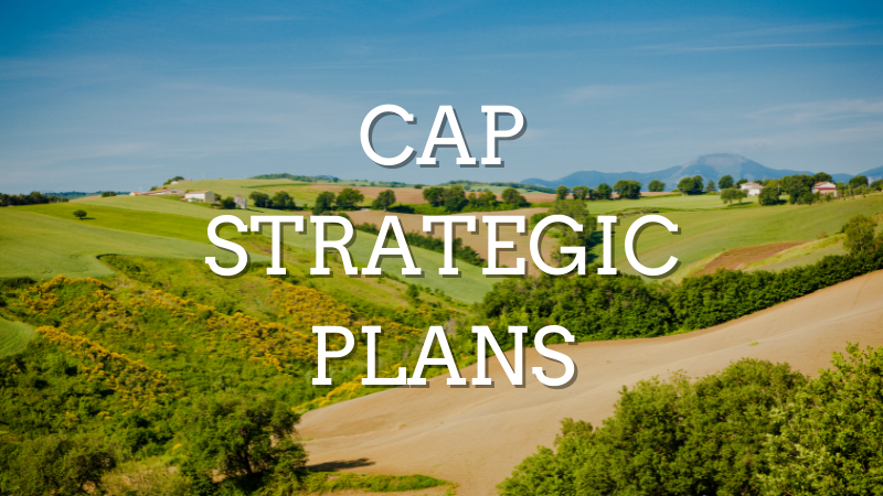 ARC2020eu's tweet photo. Why has the CAP been historically problematic for farmers’ economic sustainability, biodiversity and the environment, in the EU and the Global South? We explore historical choices regarding trade and CAP that led our agriculture towards liberalisation
https://t.co/v5J2fAkeaD https://t.co/HI0eWAonGy