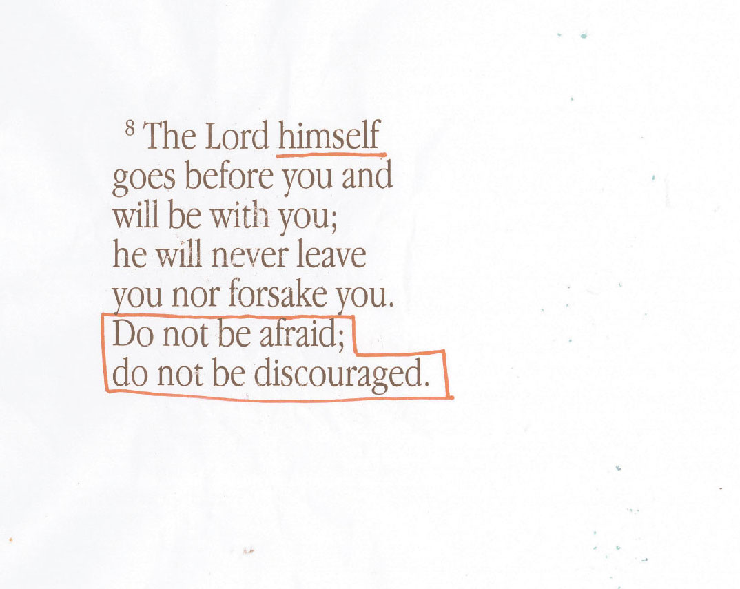 stevenfurtick tweet media