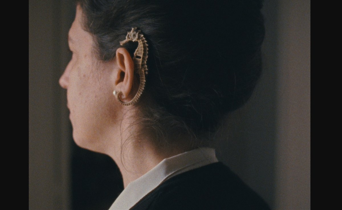 KarenKryptis's tweet photo. If your soul aches for something truly beautiful, watch "The Metamorphosis of Birds". I don't know how to categorise it: doc-memoir, personal essay on family history or rather delicate art installation, but Catarina Vasconcelos’ enchanting debut is simply breathtaking. https://t.co/zjy9NEhuGH