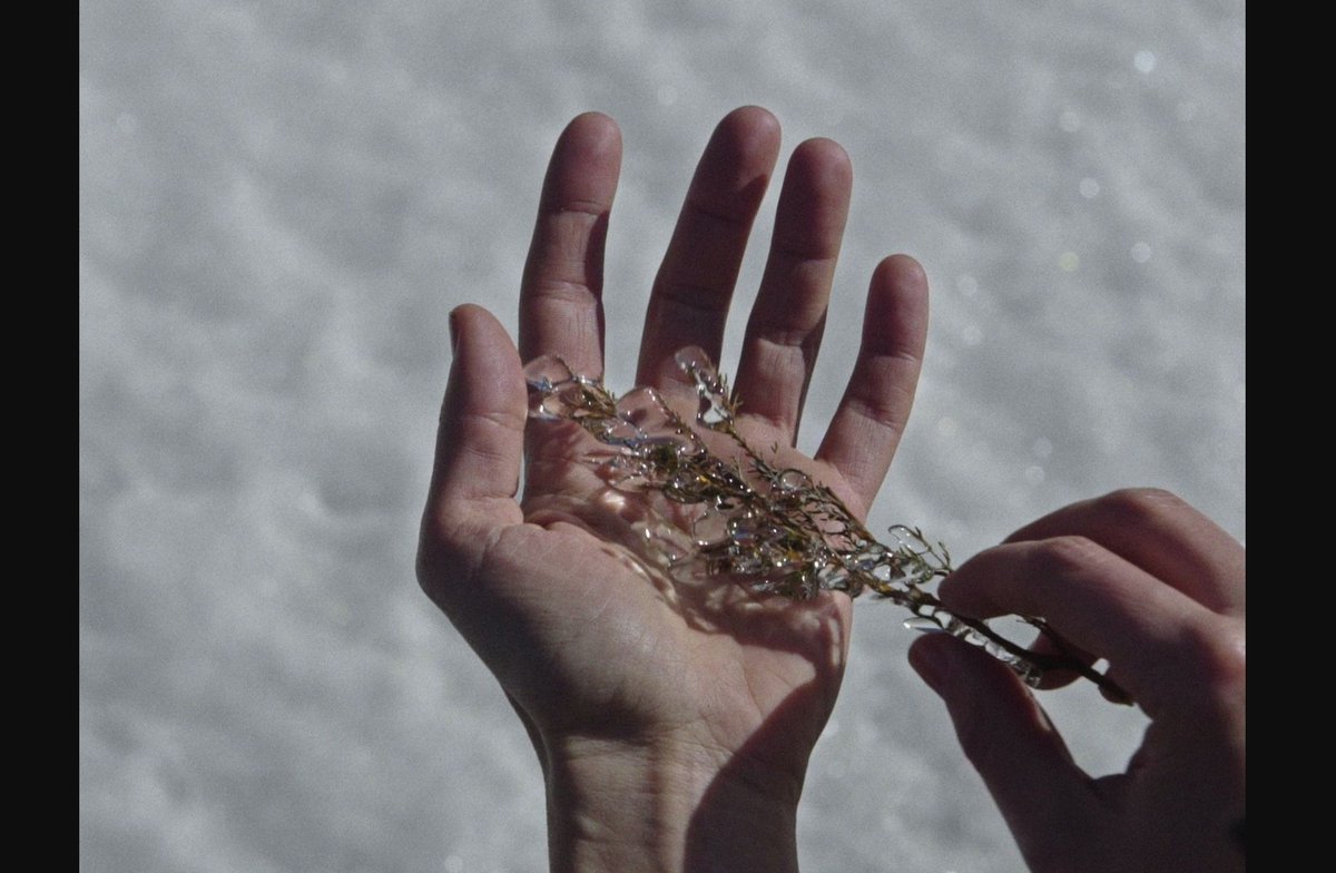 KarenKryptis's tweet photo. If your soul aches for something truly beautiful, watch "The Metamorphosis of Birds". I don't know how to categorise it: doc-memoir, personal essay on family history or rather delicate art installation, but Catarina Vasconcelos’ enchanting debut is simply breathtaking. https://t.co/zjy9NEhuGH