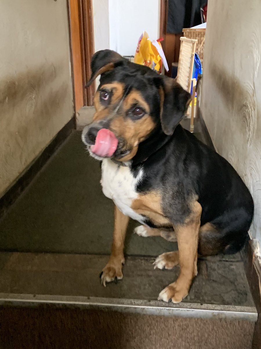 the twins tweet media