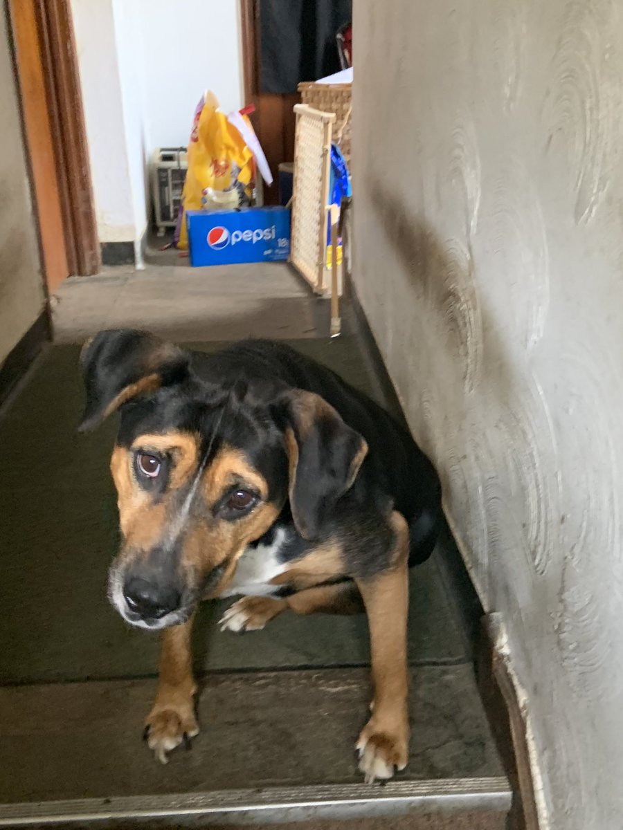 the twins tweet media