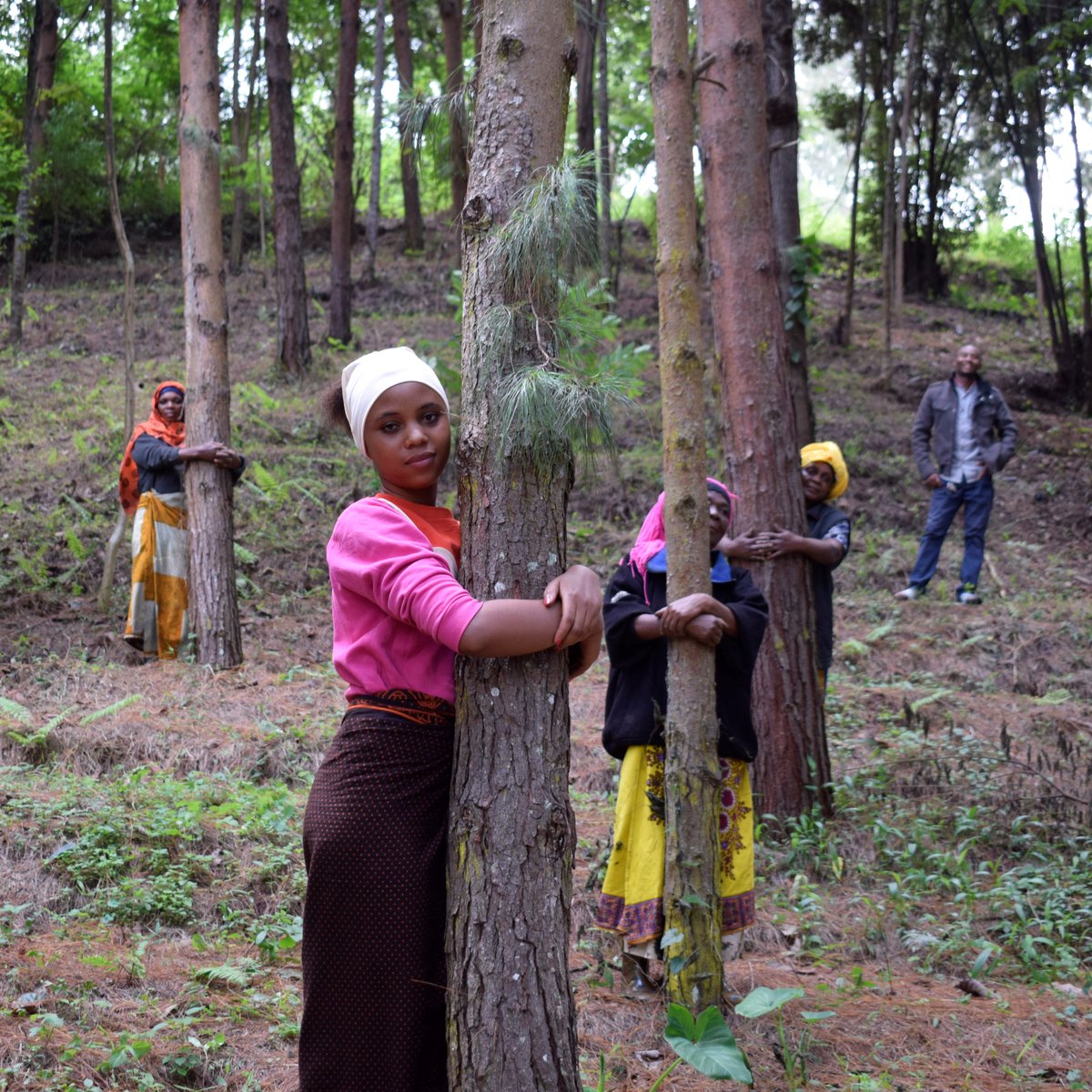 ForestNation's tweet photo. Today marks #worldworkersday, and we want to use this opportunity to show all the love and support to our superhero workers in #Tanzania.
The work they are doing is quite literally saving the world 💪🌳 https://t.co/mxR7yUtGAW
