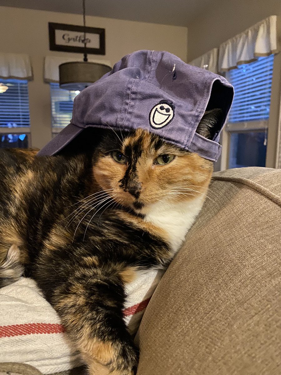 Chilling with my life is good hat on watching animal planet.