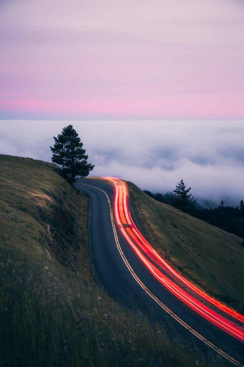 AvecNicole's tweet image. When you go not even one hour north of San Francisco 👀🤭