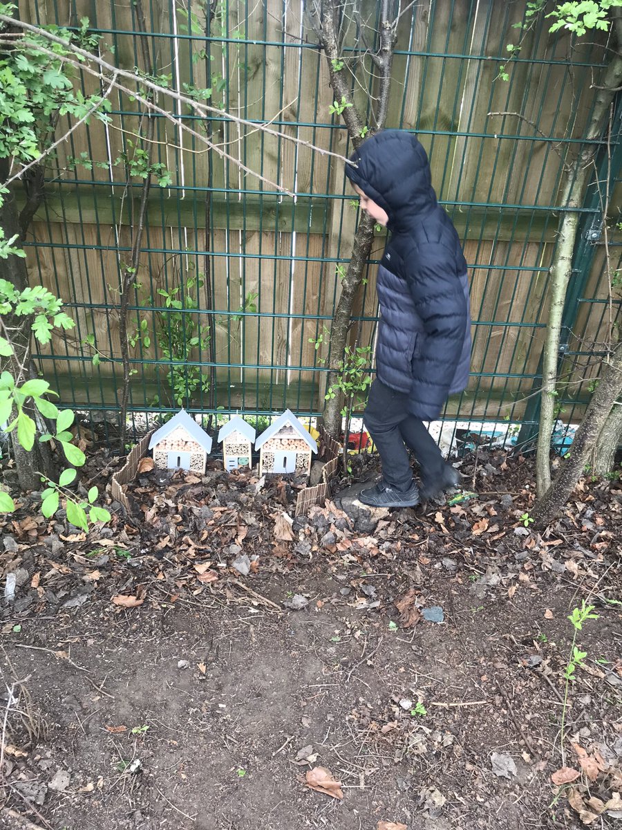 MissStembridgeBPS tweet media