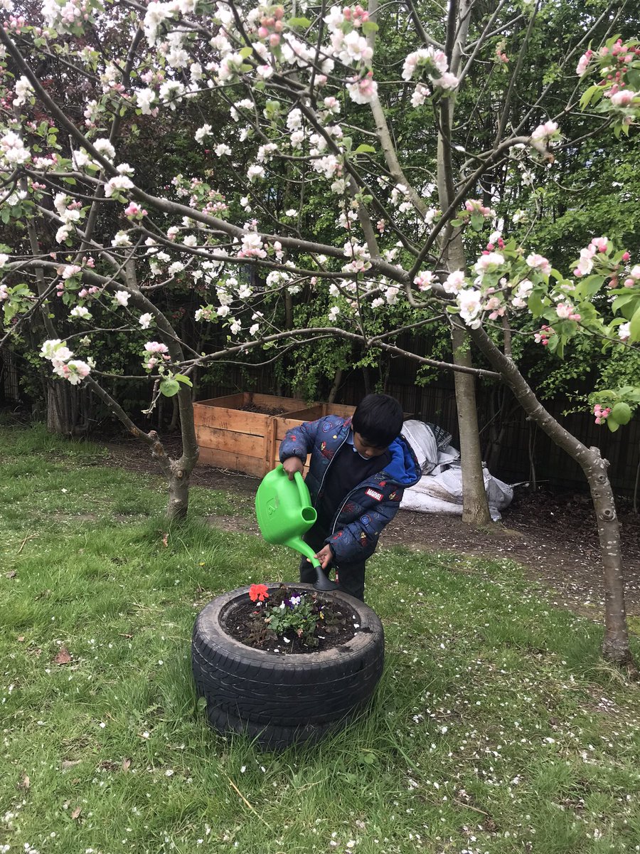 MissStembridgeBPS tweet media