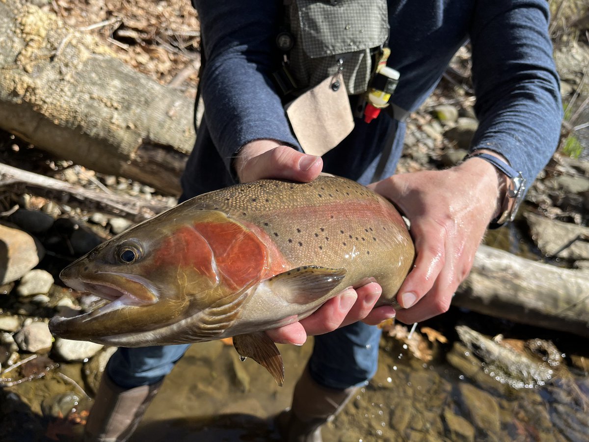 Paul Doiron tweet media