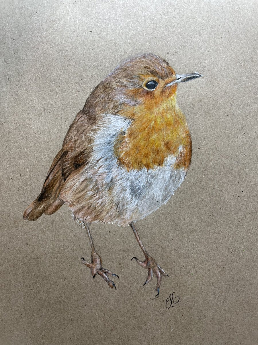 SequoiaP_S's tweet photo. Finally finished my robin piece
#drawing #robin #robinart https://t.co/9ZRSR3EMCY