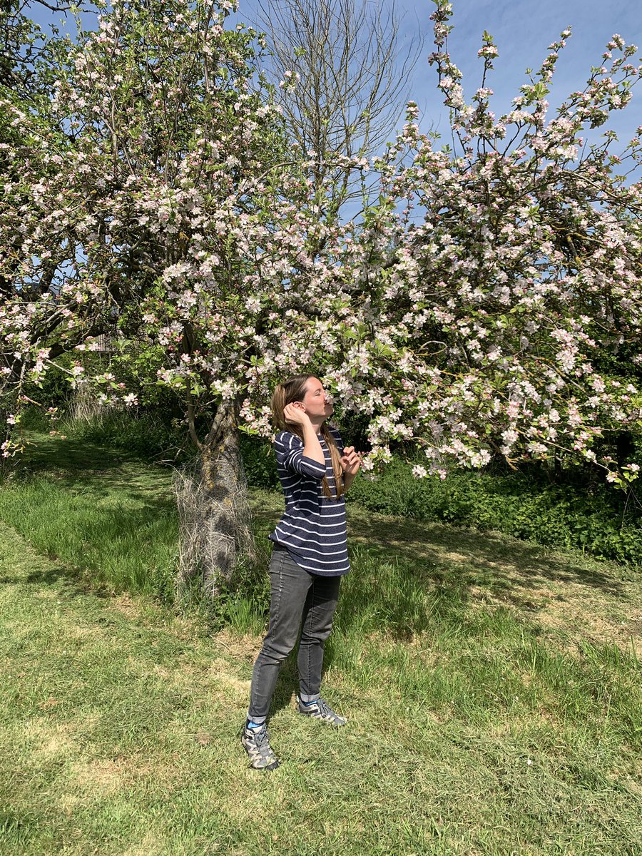 Helen Allsebrook tweet media