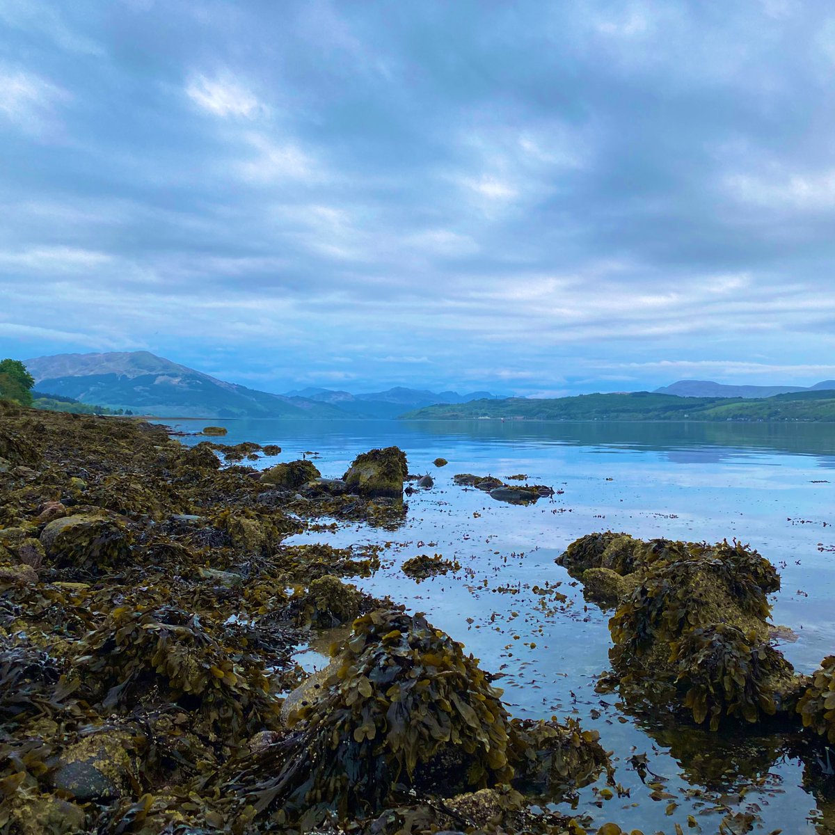 drpaulbarratt's tweet photo. @HNEscapesCIC @kendie @RobPike18 @TraceyPike12 @CoalJewellery @coal_legacies @palaeokatie @staffswayman @Clarkeocrinus Coincidentally, I’ve been down to the same #fascinatingfinds shoreline with my Dad tonight. https://t.co/Bdk6R7HREr