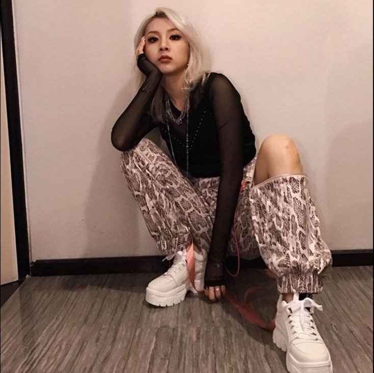 somin sitting: 💝🎀🐈🤧😭🐰🥺👶🐥
jiwoo sitting: 🥵🌶🔥🔞💀🥀🔪🖤