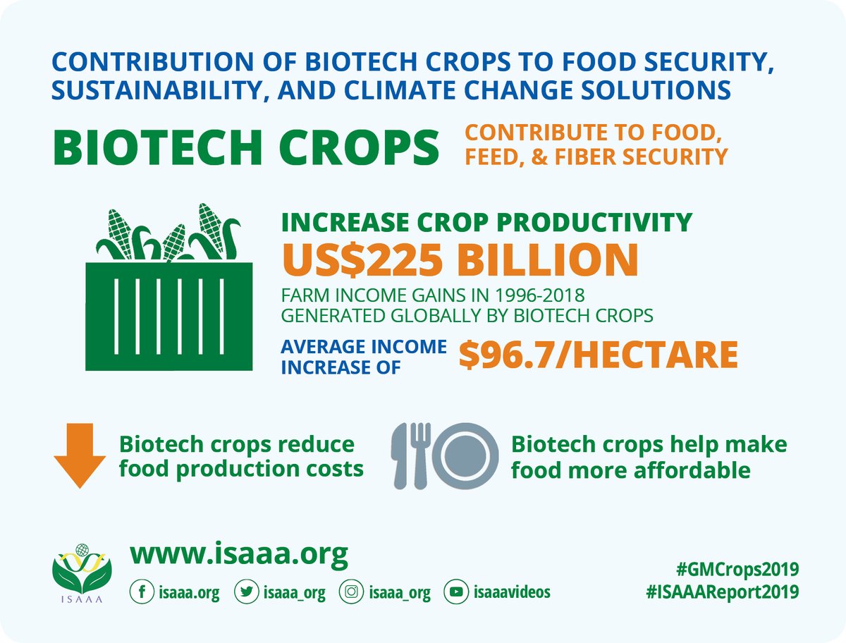isaaa_org's tweet image. #Biotechcrops help increase crop productivity. From 1996 to 2018, farm income gains from biotech crops reached US$25 billion, an average income increase of US$96.7/hectare. Visit ISAAA Brief 55 page for more details: bit.ly/ISAAABrief55 #GMCrops #ISAAAReport