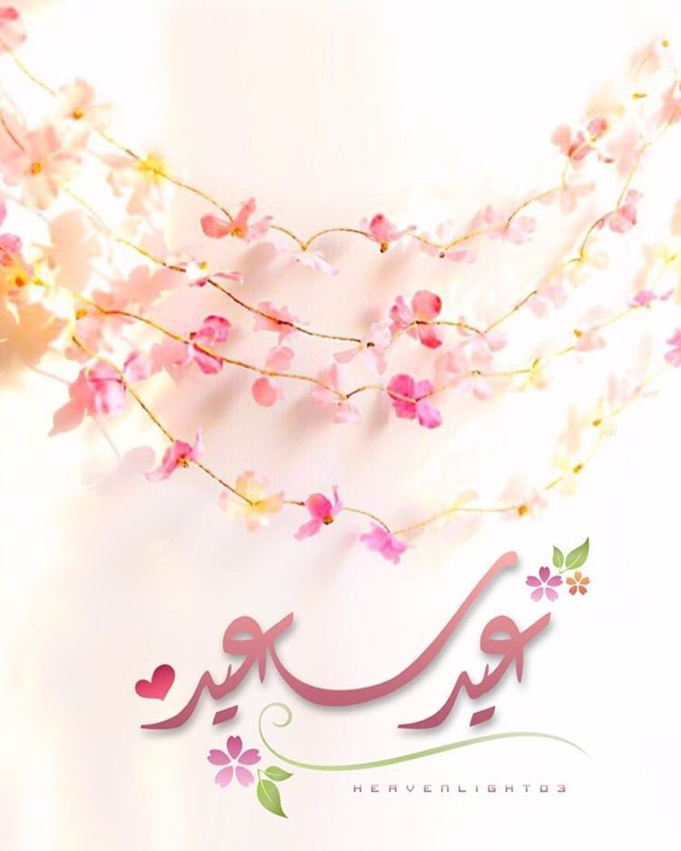 اسمى ايات التهاني بمناسبة حلول عيد الفطر المبارك اعاده الله علينا وعليكم بالخير واليمن والبركات
                 كل عام وانتم بخير