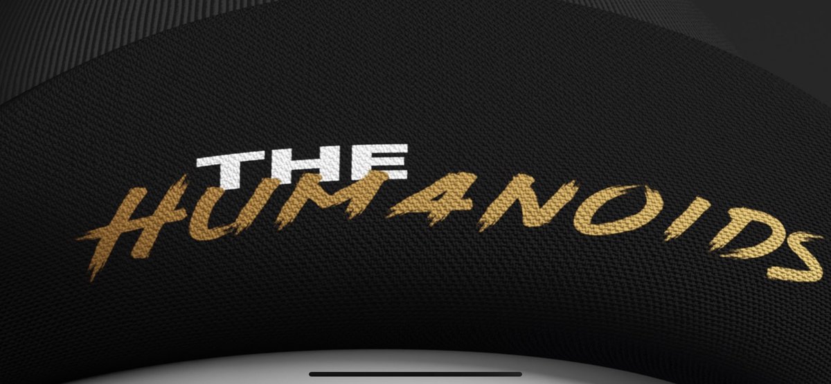 LaRobMurphy's tweet photo. What a week for @TheHumanoidsNFT!! Got together with @FelineFiendz, had great spaces with @TheKnoids, joined up with @RaritySniperNFT and now officially bought land with @otherdeed! #NOIDGANG we are coming! https://t.co/ULfnj4T3zT