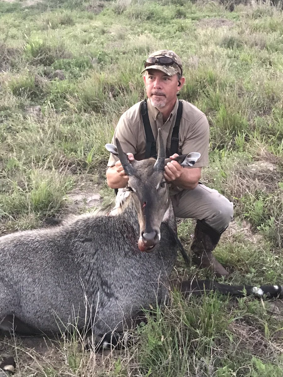 topwater21's tweet photo. Few days at the King Ranch is good for a man’s soul. Turkey’s beard was over 10” https://t.co/3M6WTc5Cw3