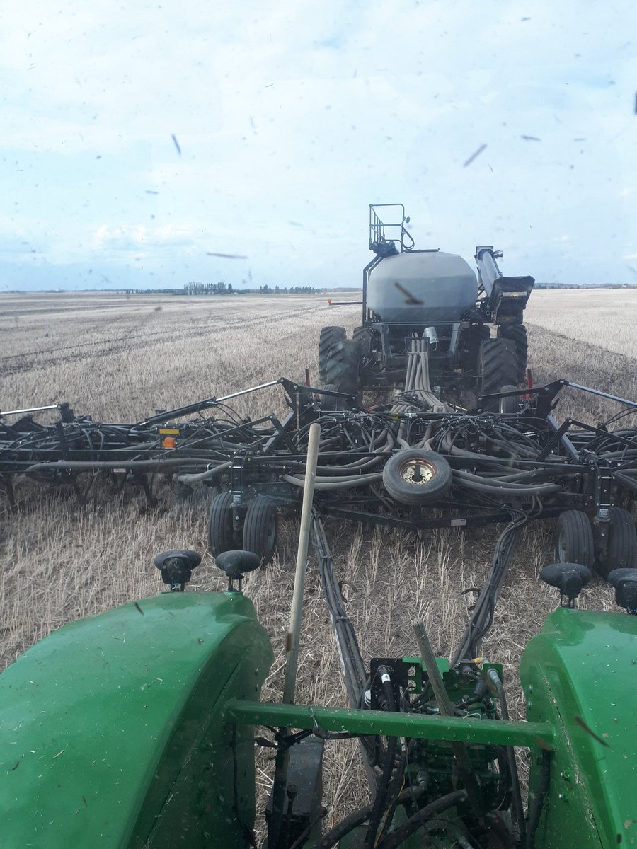 Putting them seeds in the ground.