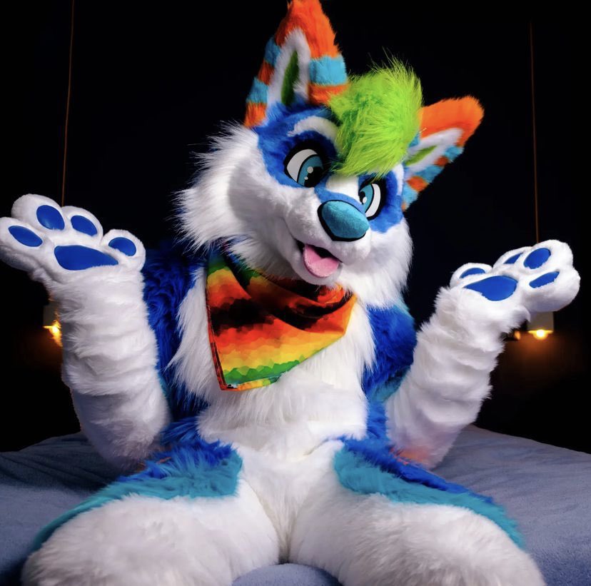 REINDEER (read bio) on Twitter "truffel_the_wusky on instagram https