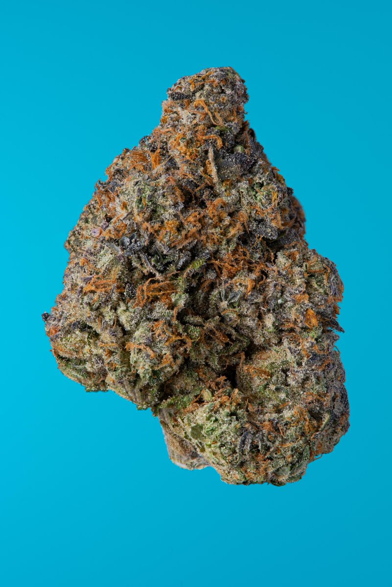 cookiesglobal's tweet image. fresh drop of { Fly } and { Gary Payton } just hit 💪🏽💨💨💨💨 @Pieguy420