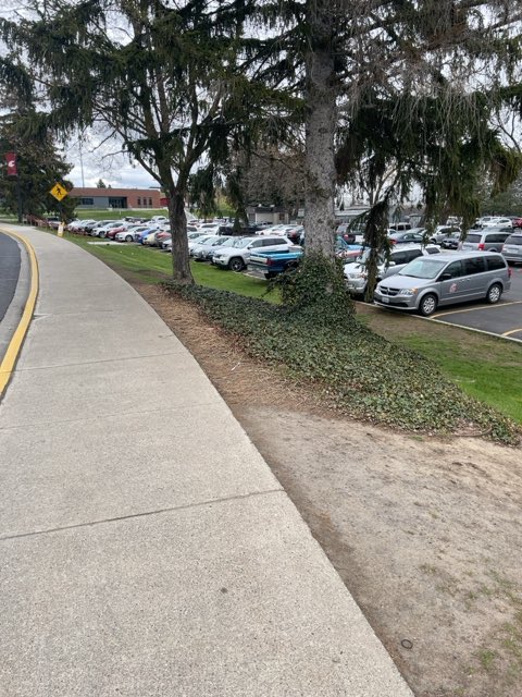 SamuraiSlipp's tweet image. Slipp found #bitcoin in a User vault at this location! Join me playing #coinhuntworld, It's awesome! coinhunt.gsc.im/ku3Sipnu5R #cryptocurrency #59355