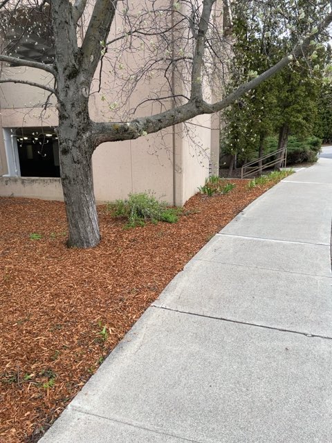 SamuraiSlipp's tweet image. Slipp found #ethereum in a Blue vault at this location! Join me playing #coinhuntworld, It's awesome! coinhunt.gsc.im/ku3Sipnu5R #cryptocurrency #25662