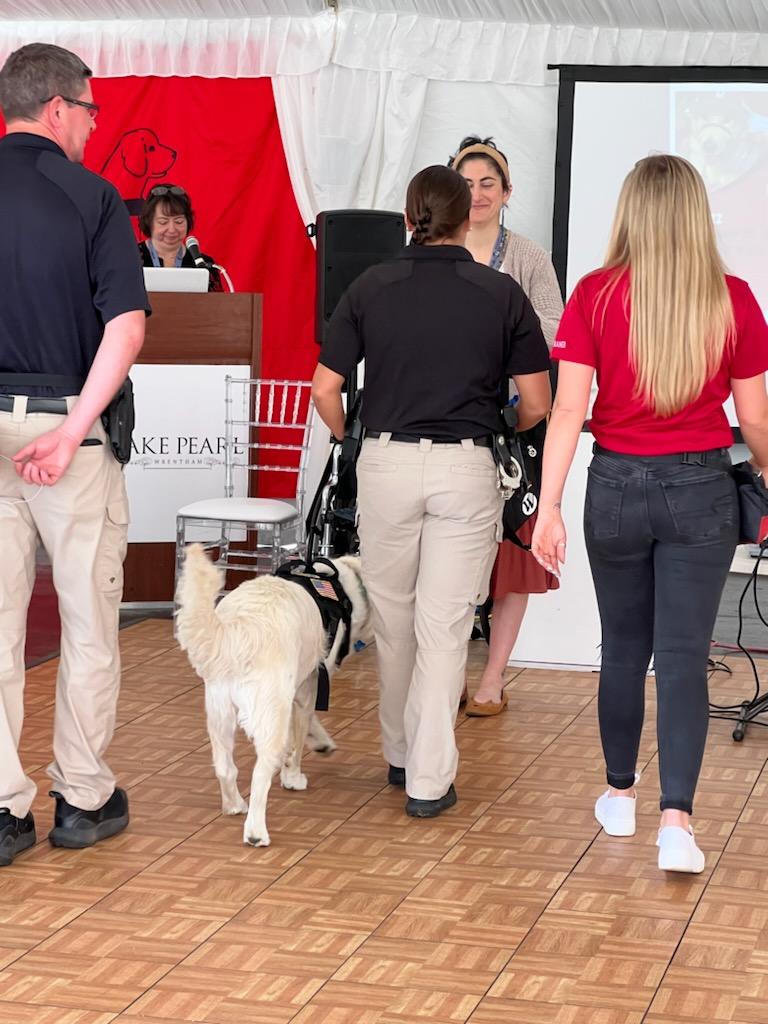 Walpole Media tweet media