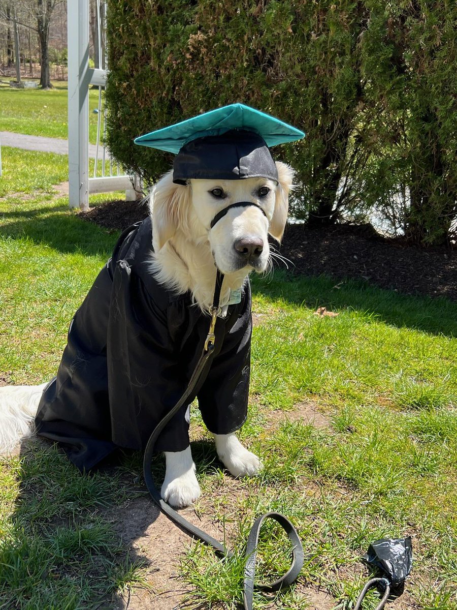 Walpole Media tweet media